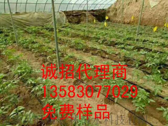 广西钦州甘蔗滴灌带厂家亿碧源直销16mm单翼迷宫带